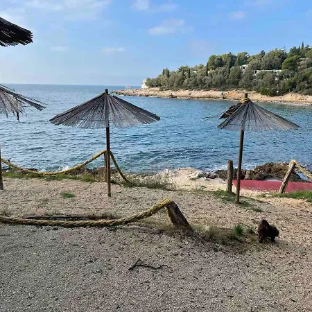 Lui * Pula