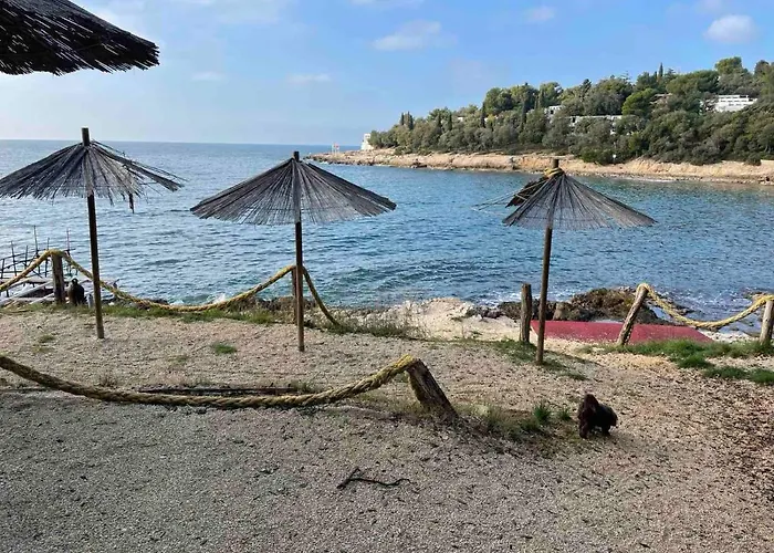 Lui * Pula